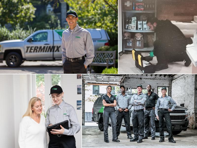 Terminix Canada Pest Control Vancouver