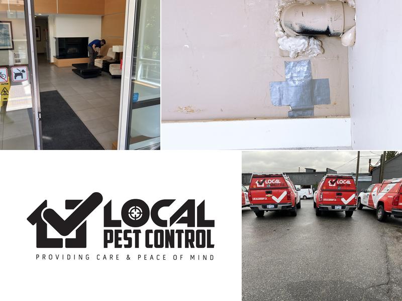 Local Pest Control Ltd