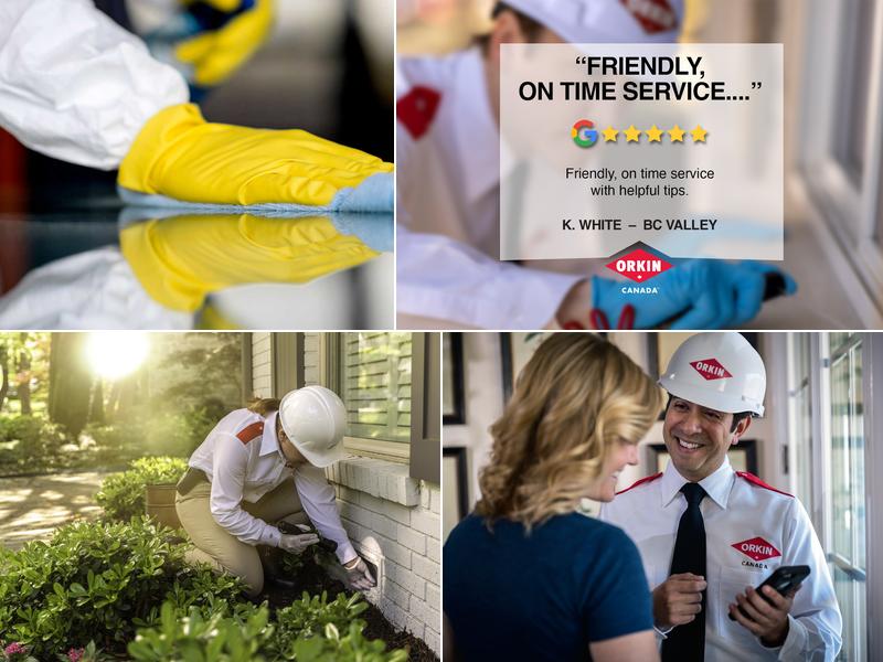 Orkin Canada Pest Control