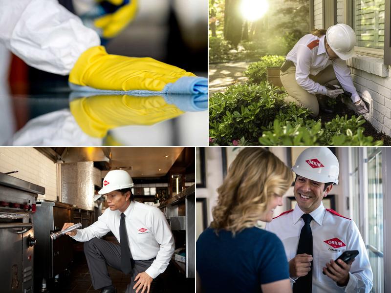 Orkin Canada Pest Control
