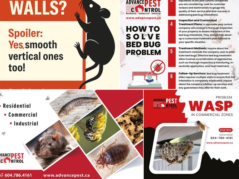 Advance Pest Control