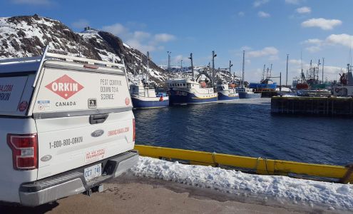 Orkin Canada Pest Control 1090 Topsail Rd, Mount Pearl Newfoundland and Labrador A1N 5E7