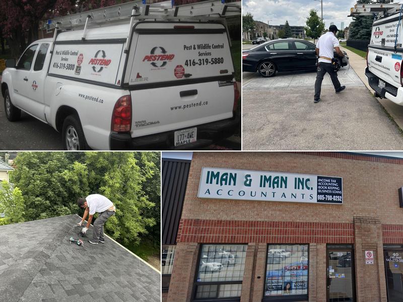 Pestend Pest Control Brampton