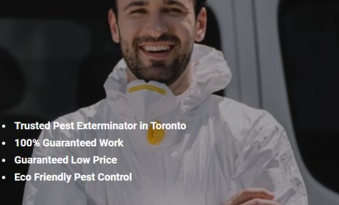 GTA Toronto Pest Control - North York 9 Milvan Dr #405, North York Ontario M9L 1Y9