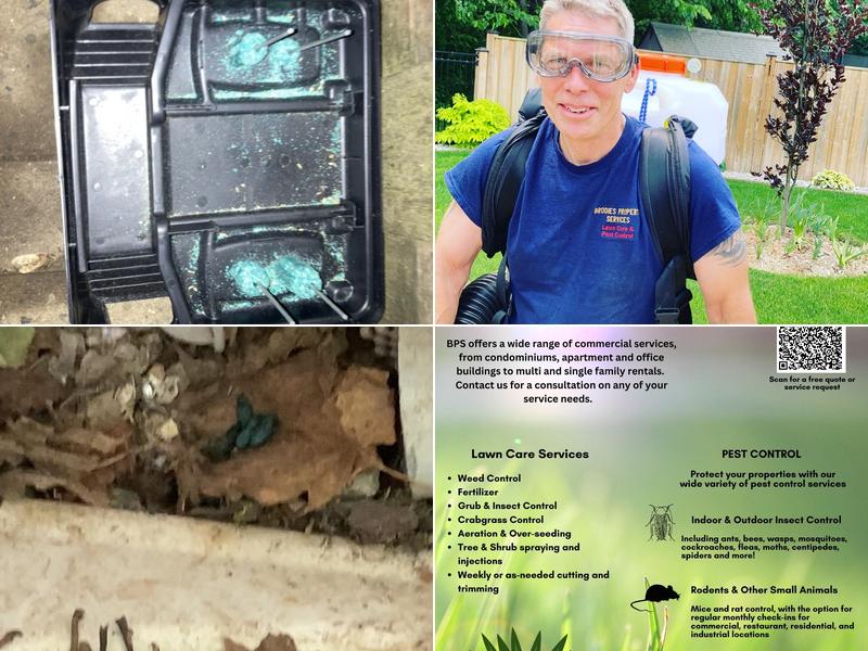 Brodie's Lawn Care & Pest Control