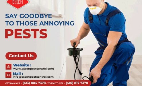 Essen Pest Control