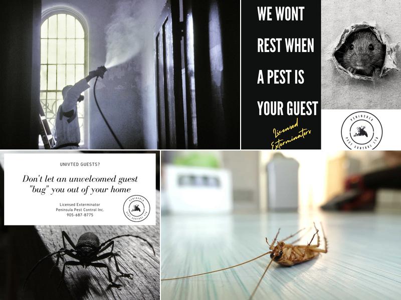 Peninsula Pest Control Ltd