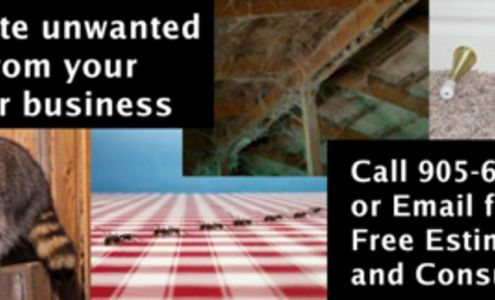 Sheldon Pest Management