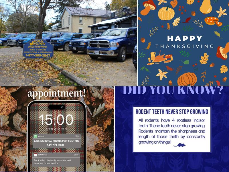 Rural Routes Pest Control