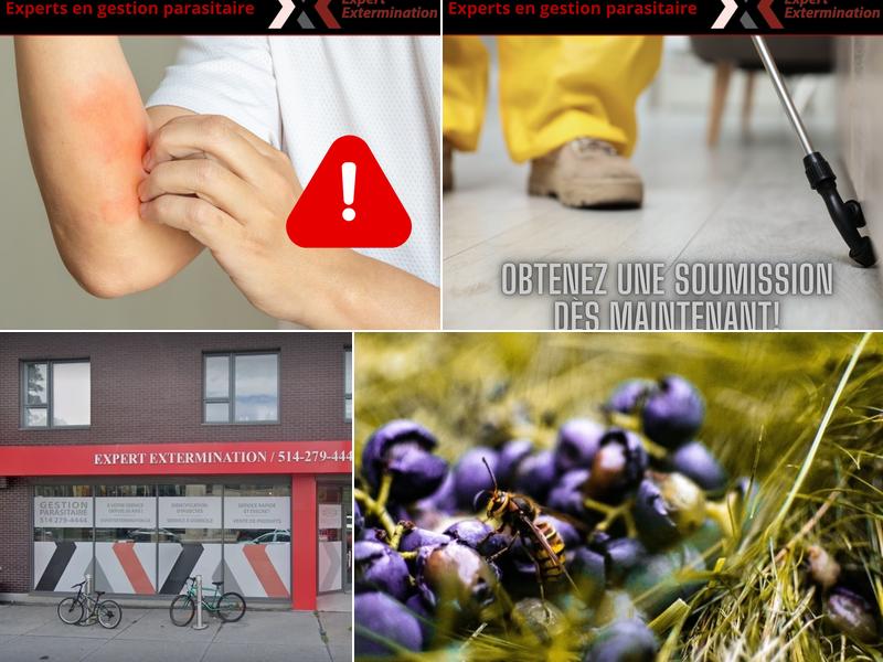 Expert Extermination inc.