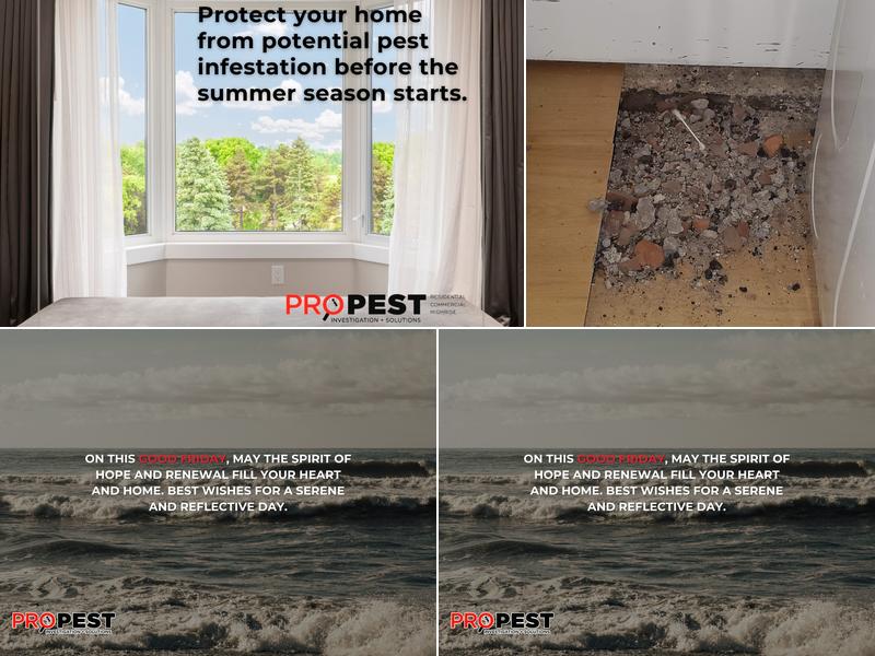 Pro Pest Corporation.