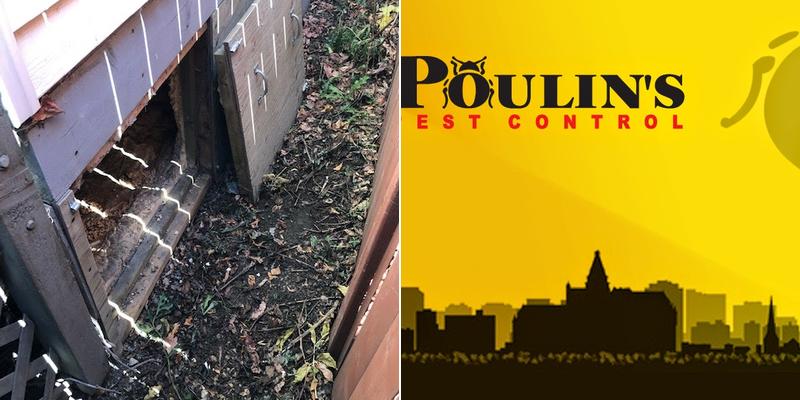 Poulin's Pest Control