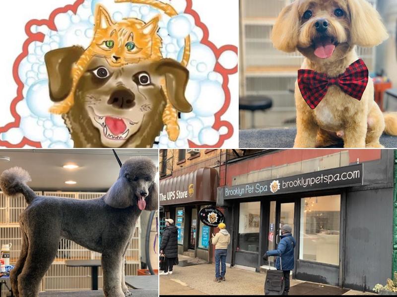 Brooklyn Pet Spa, Cat & Dog Grooming
