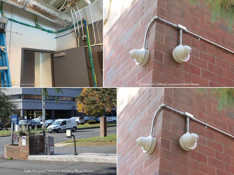 Mammoth Security Inc. New Haven