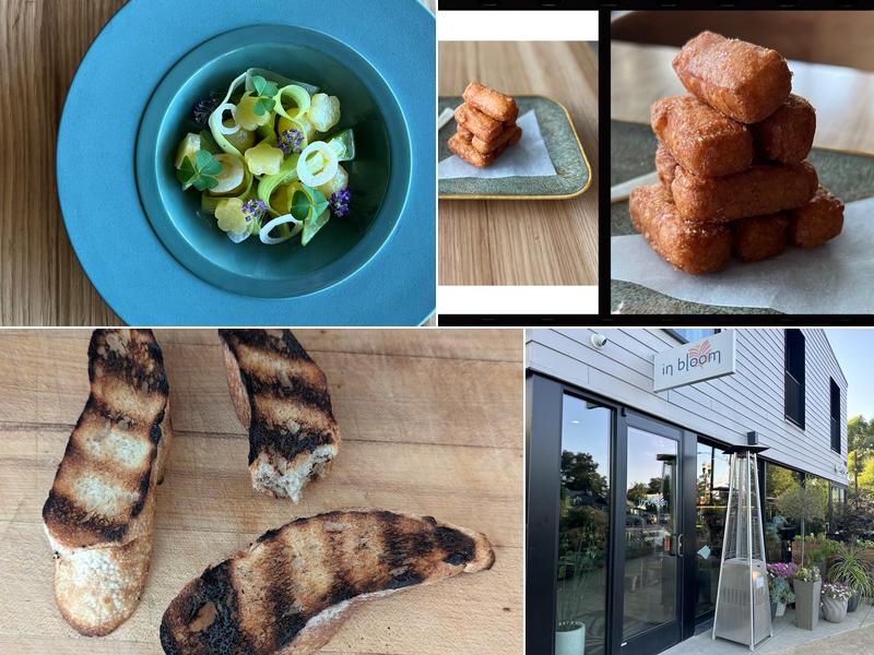 in bloom 1845 Spring St, Paso Robles