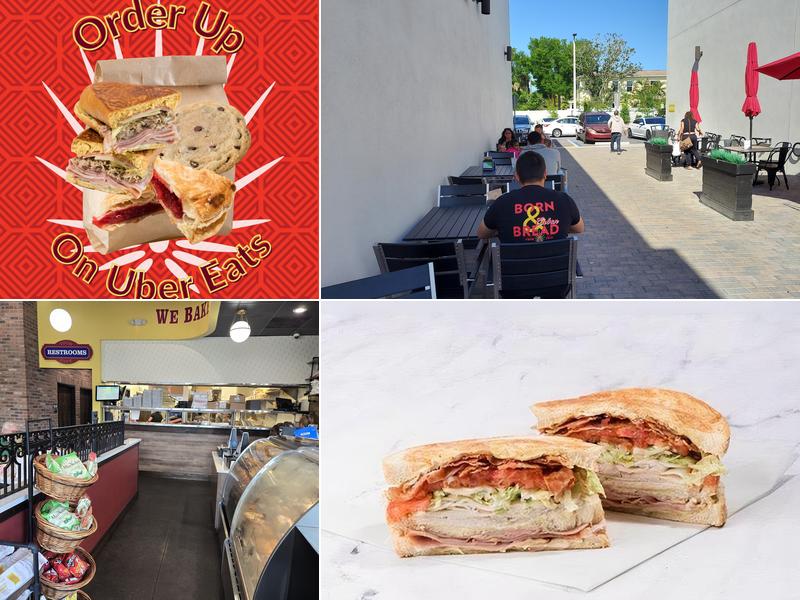 La Segunda St. Petersburg