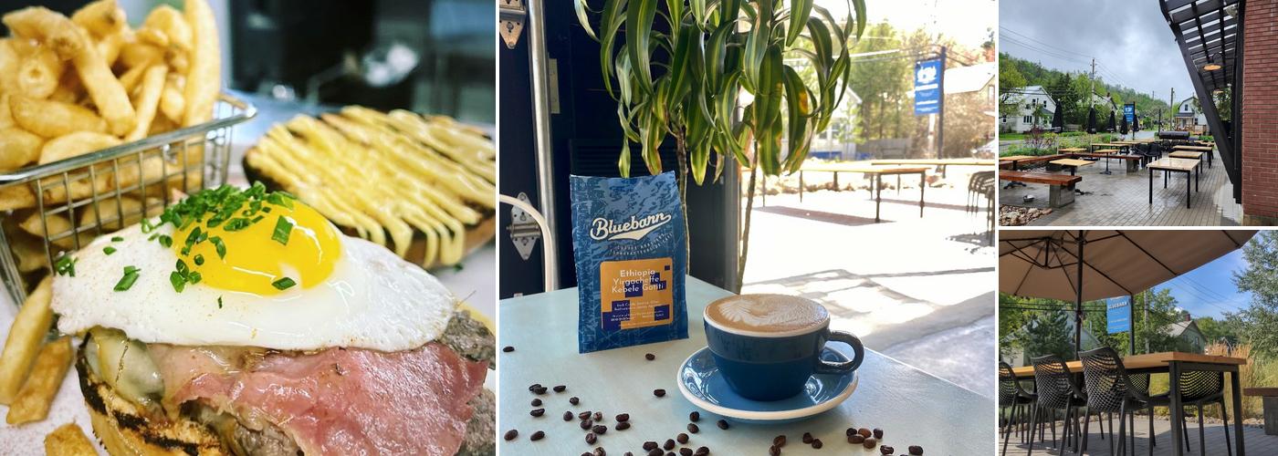 Bluebarn Coffee Roasters