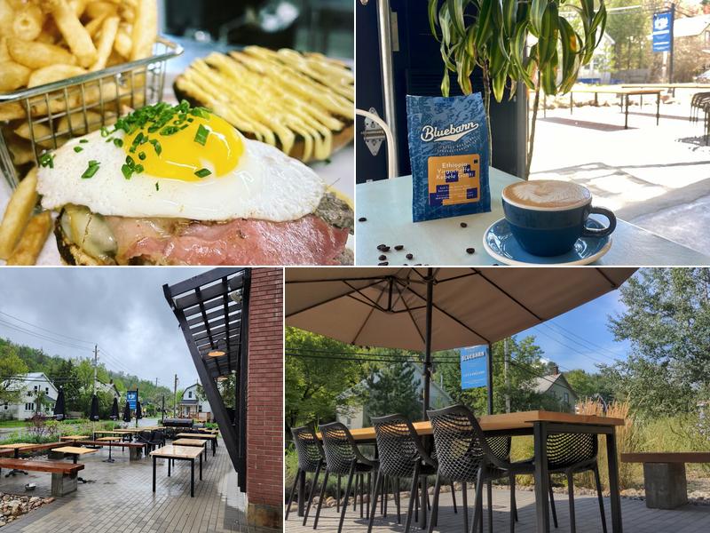 Bluebarn Coffee Roasters