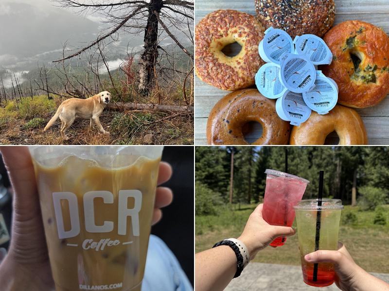 Kodiak Coffee 3172 WA-903, Roslyn