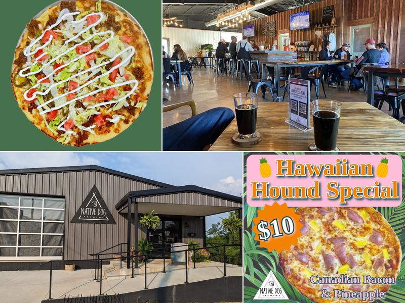 Native Dog Brewing 125 Madison Ave, Camden