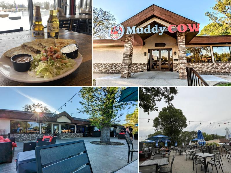 Muddy Cow - North Branch