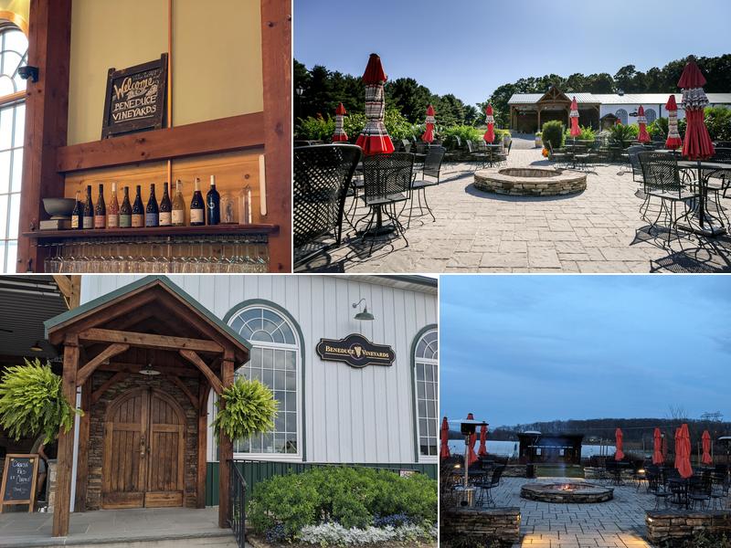 Beneduce Vineyards 1 Jeremiah Ln, Pittstown