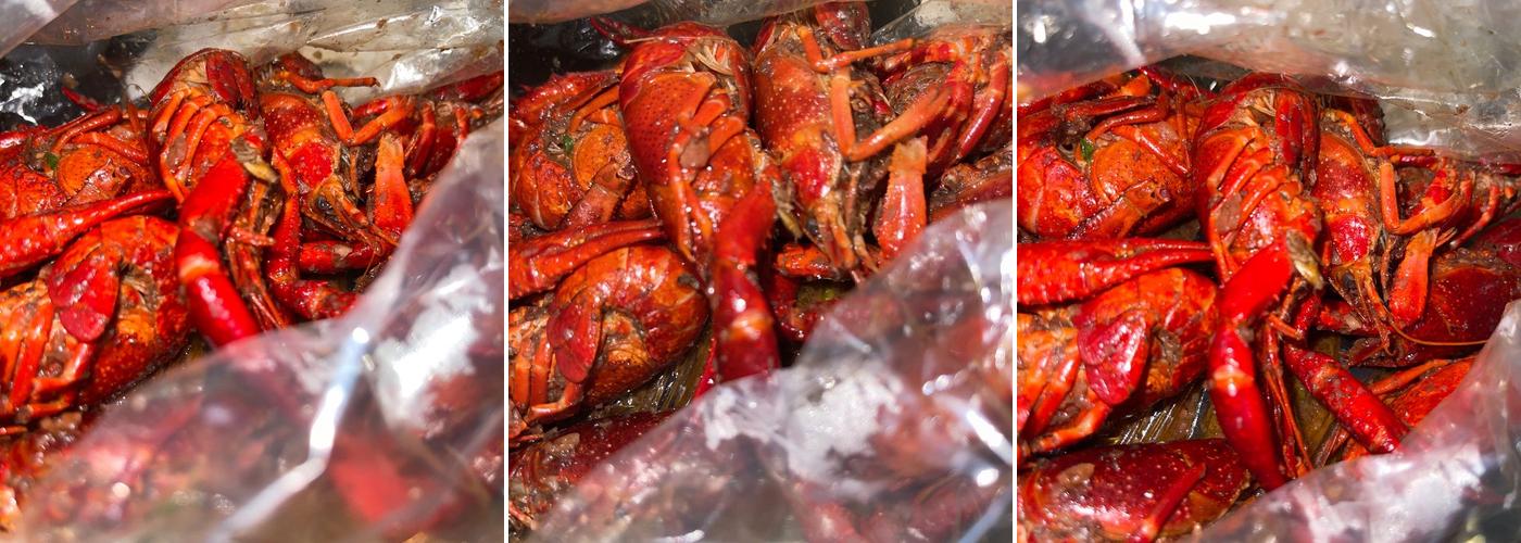 Rj Bistro Fusion Eats