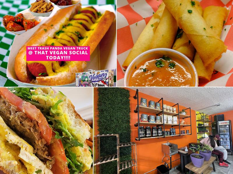 Trash Panda Vegan