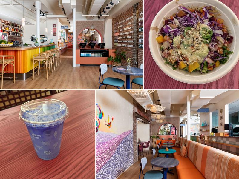 Life Alive Organic Cafe Harvard Square