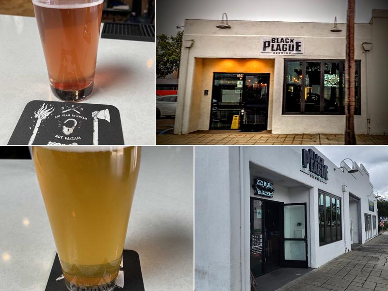 Black Plague Purgatory Lounge