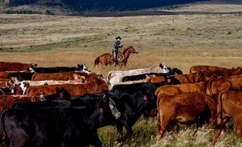 Sangres Best - Grass Finished Beef Westcliffe