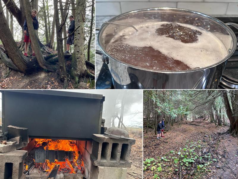 Clarence's Service Centre Ltd