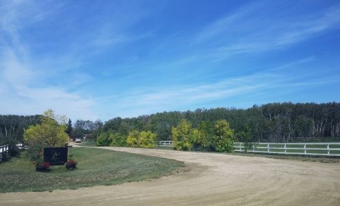 Omer Mobile Veterinary Services Corman Park No. 344, Saskatchewan Saskatchewan S7K 3J5