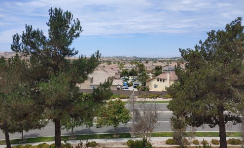 Mater Dei Catholic High School