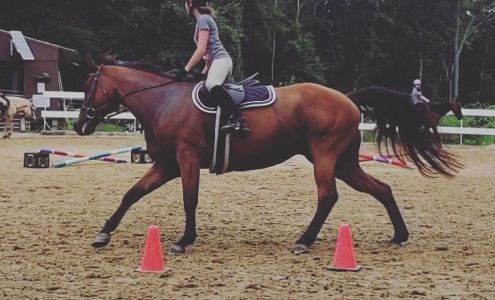 Hawk Stone Stable East Hampstead