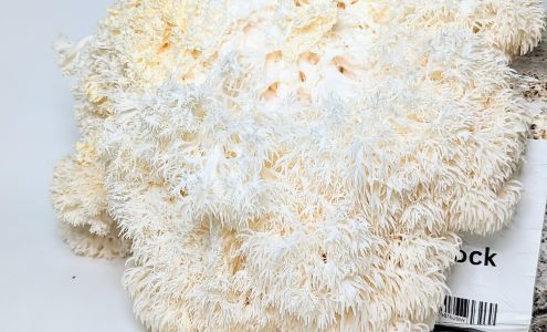 Virginia Spores & More