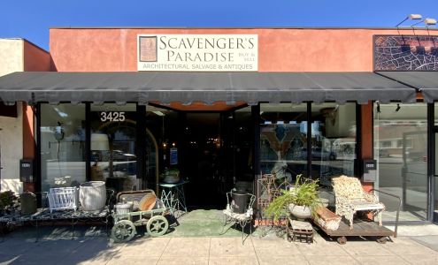 Scavenger's Paradise