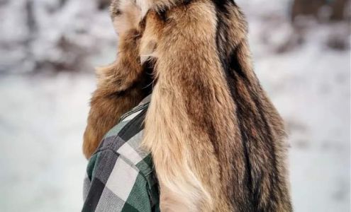 Furs Spurs and Antlers Granville