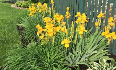 Chartwell Apartments