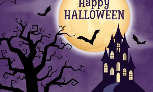 The Mail Box Store Chattanooga