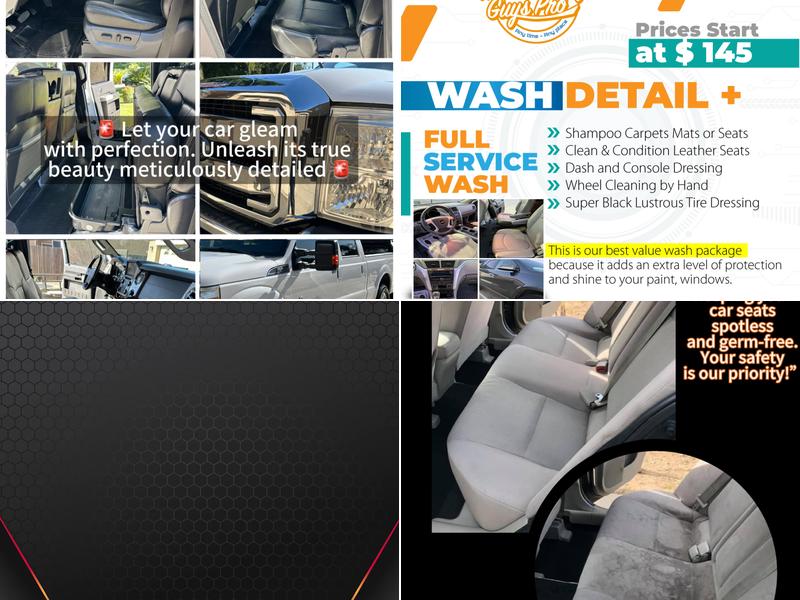 The Detailing Guys Pro