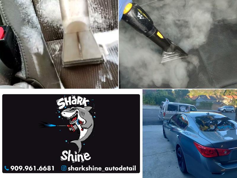 Shark Shine Auto Detail