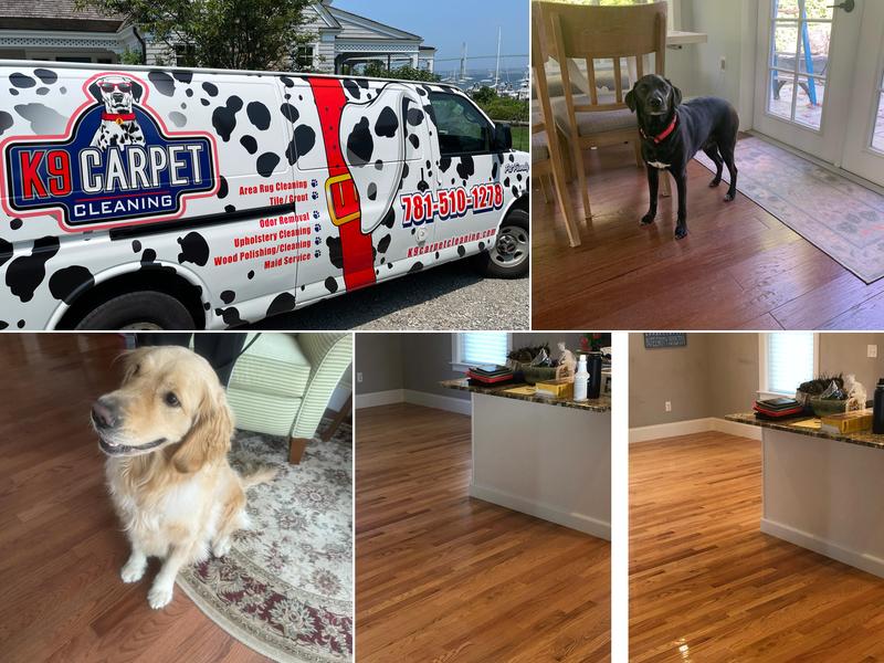 K9 Carpet Cleaning