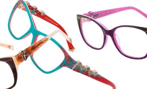 Envision Mobile Optical