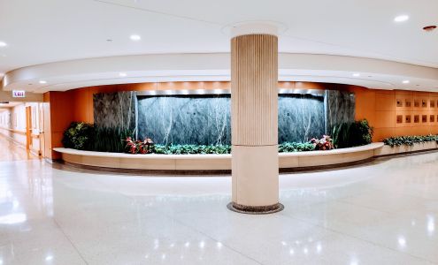 Endeavor Health Skokie Hospital