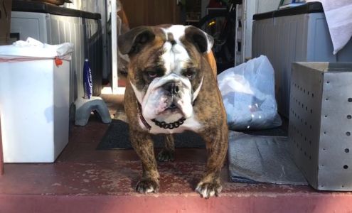 Rheinheimer & Associates