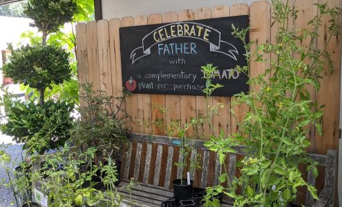 Wells Medina Nursery 8300 NE 24th St, Medina Washington 98039