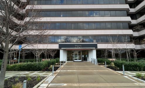 Tax Bears Pleasanton