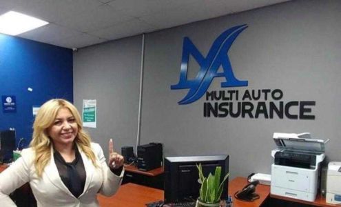 Multi-Auto Insurance Income Tax Services