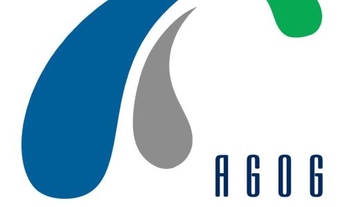 Agog Financials Inc.